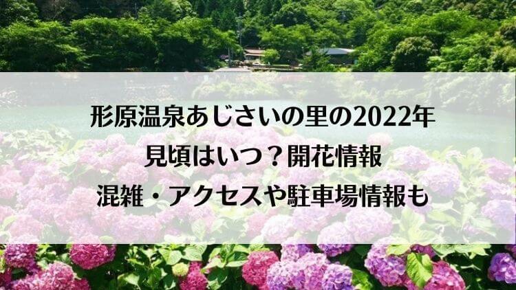 形原温泉あじさいの里の22年の見頃はいつ 開花情報と混雑 アクセスや駐車場情報も ラベイユblog