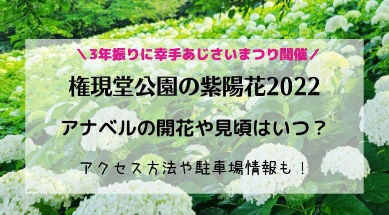 権現堂公園の紫陽花22アナベルの開花や見頃はいつ 幸手あじさいまつりについても ラベイユblog