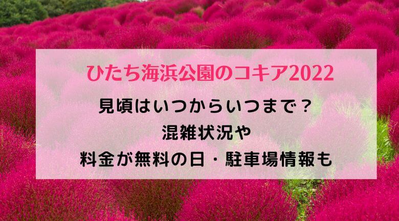 ひたち海浜公園のコキア22の混雑 見頃はいつからいつまで 料金が無料の日や駐車場 シャトルバス情報も ラベイユblog